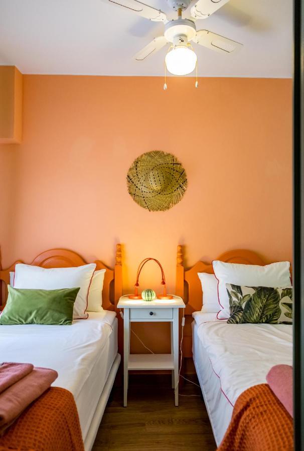 Cactus. Apartment Denia