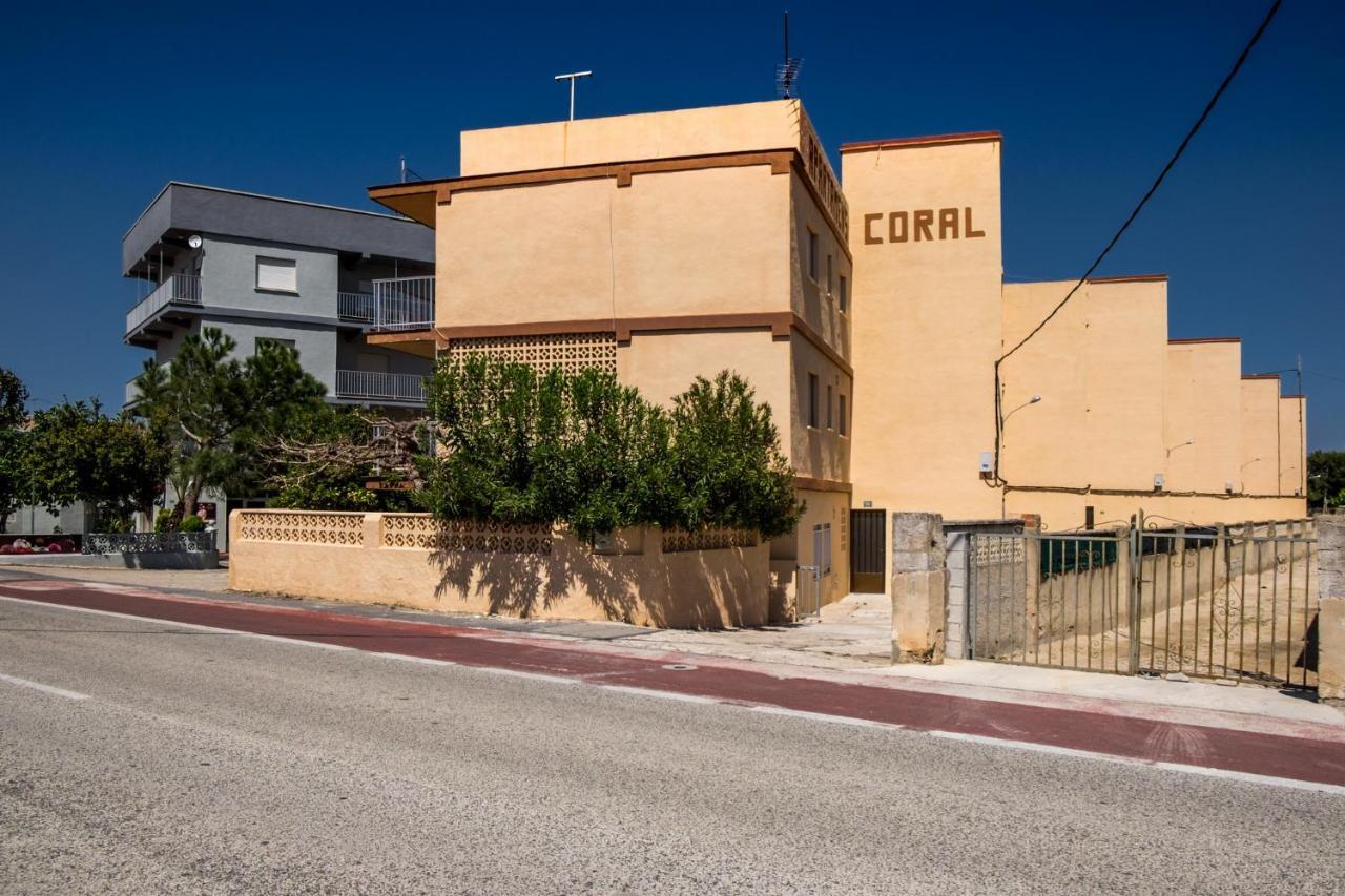 Apartment Cactus. Denia